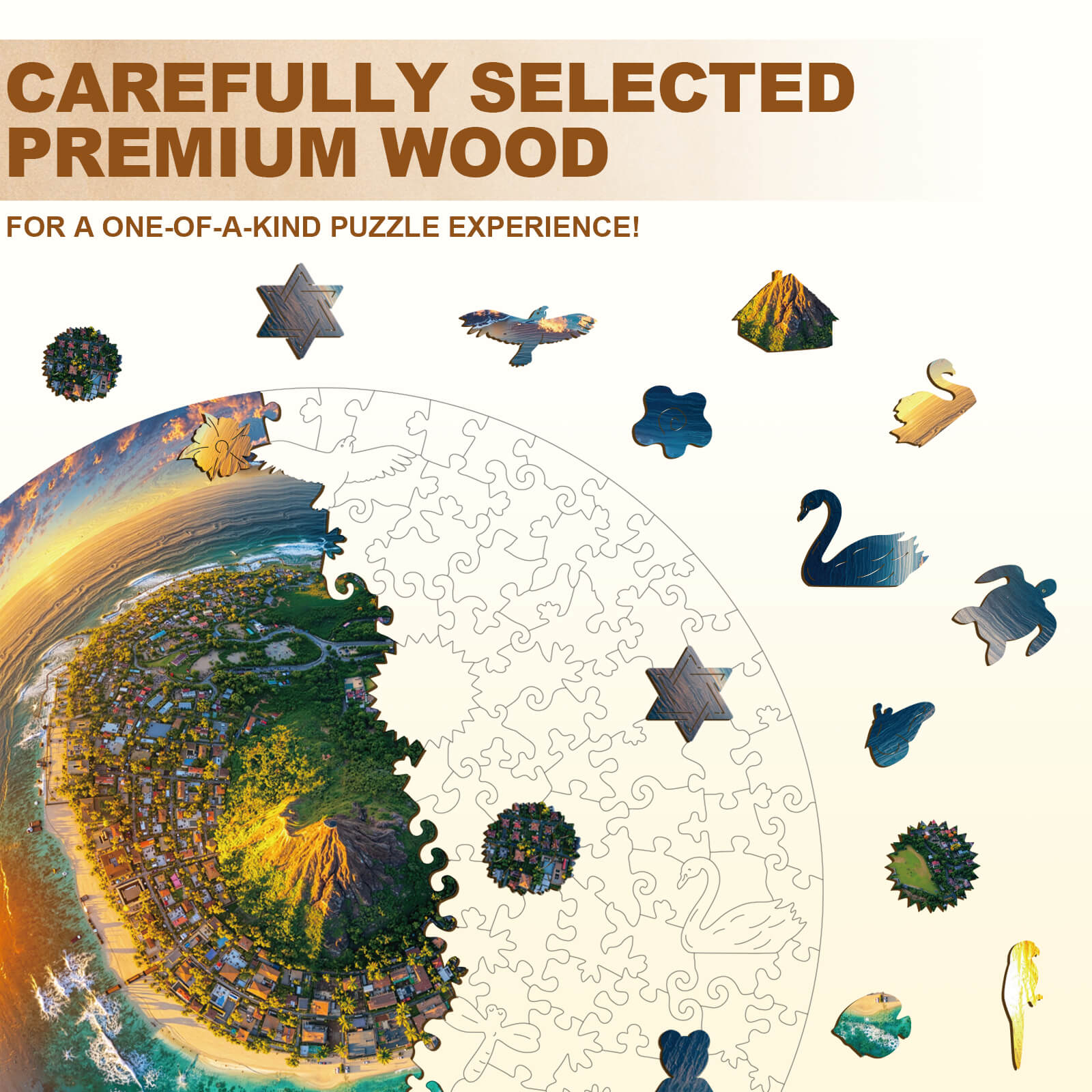 Fisheye Island Wooden Jigsaw Puzzle