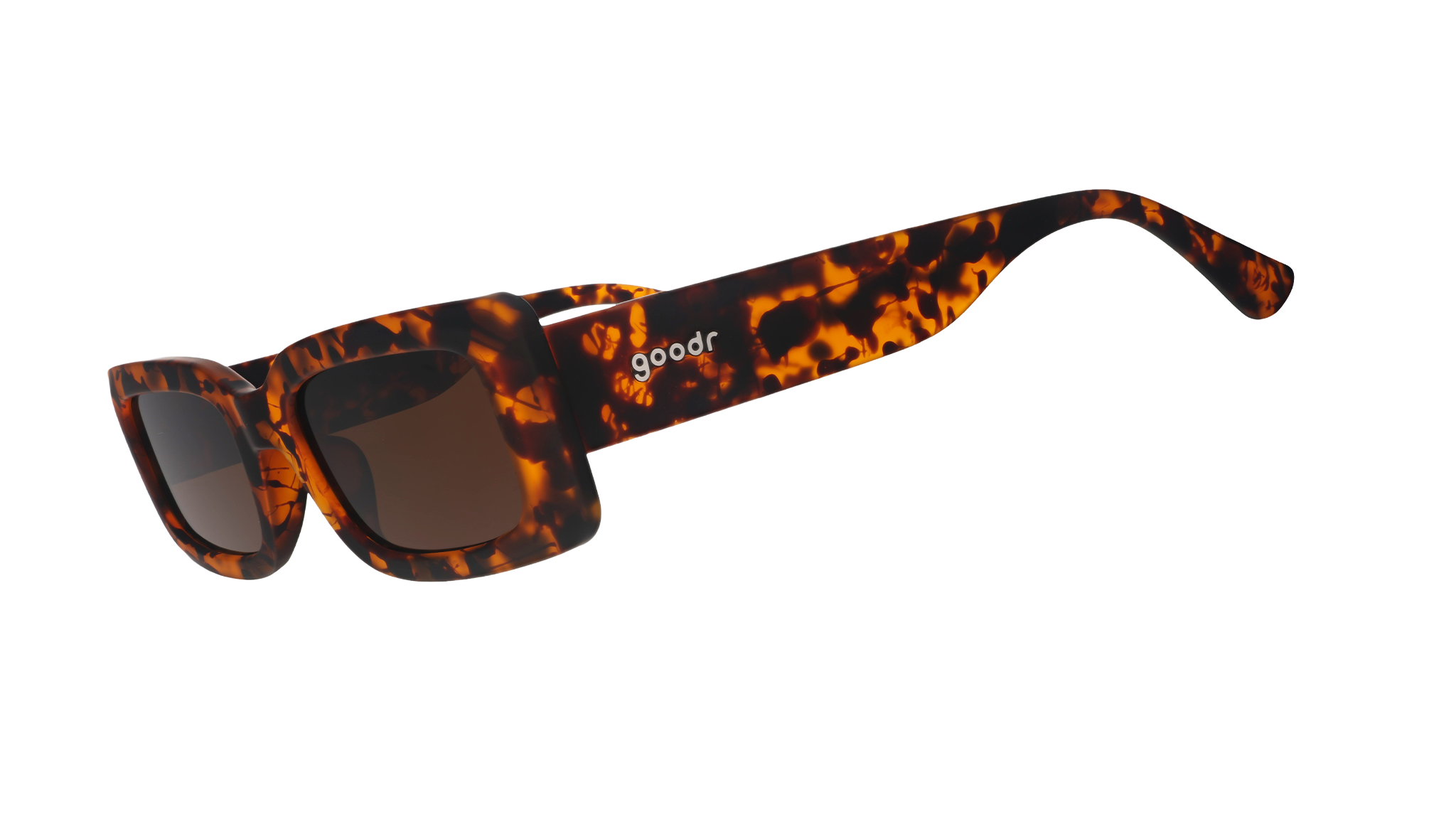 Came Here to Be Seen