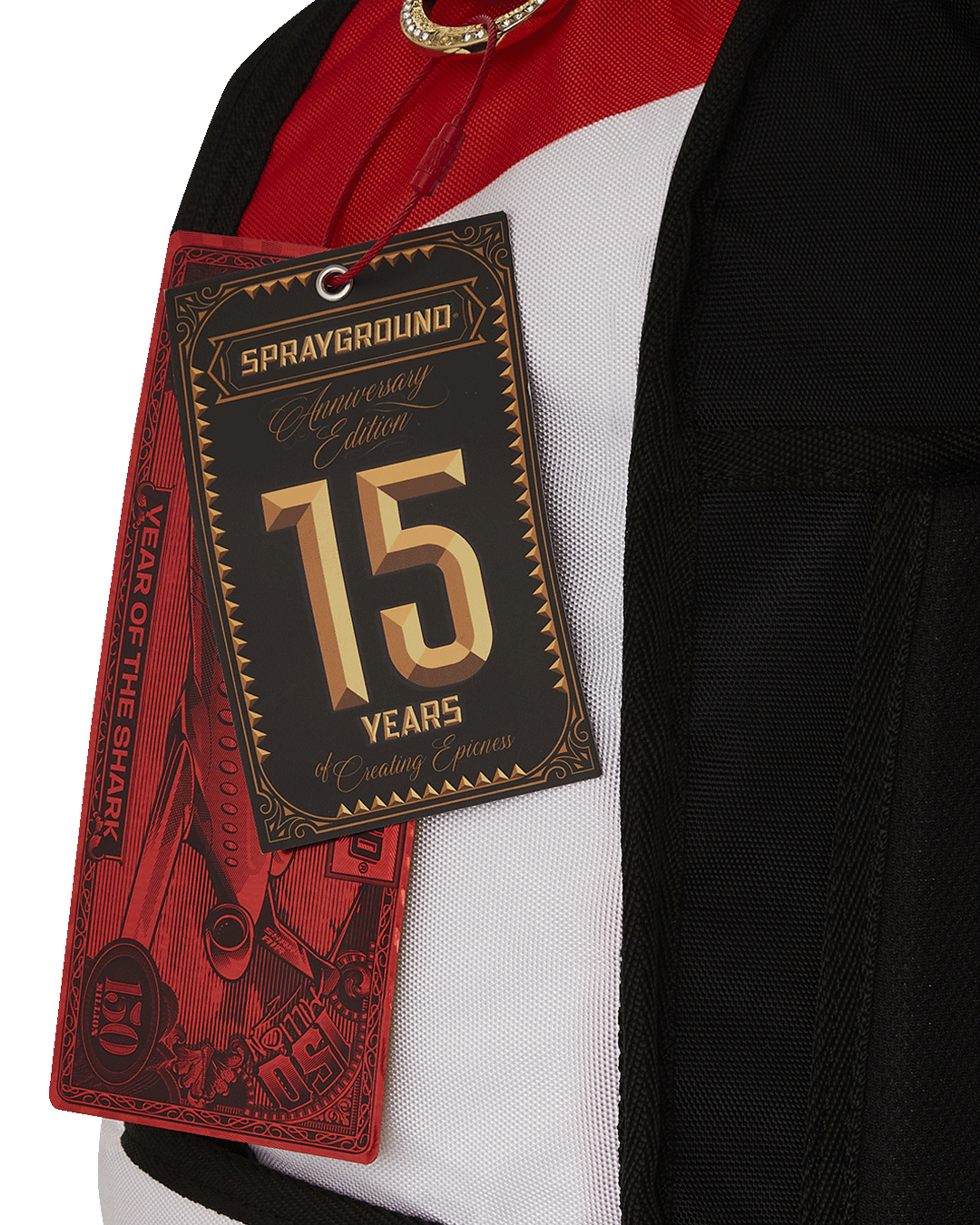 THE SCROLL OF 15 YEARS DLXV BACKPACK (SUPER RARE)